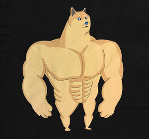 DOGE MEME