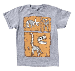 DINOSAURIOS FOSILES
