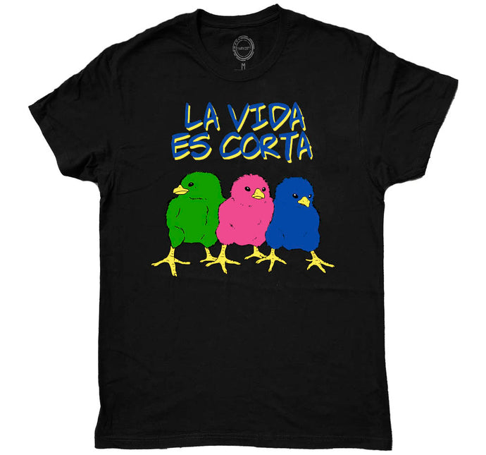 LA VIDA ES CORTA